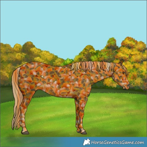 Horse Color:Chocolate Palomino