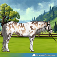 Horse Color:White Spotted Liver Red Onyx Tobiano Near Leopard Rabicano 