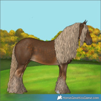 Horse Color:Chocolate Palomino 