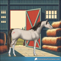 Horse Color:Classic Champagne Dun Splash 