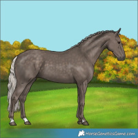 Horse Color:Silver Black 