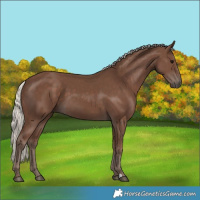 Horse Color:Silver Black 