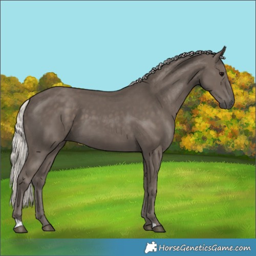 Horse Color:Silver Black 
