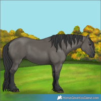 Horse Color:Grullo Sabino Rabicano 