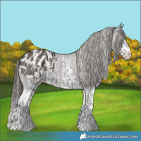 Horse Color:Liver Chestnut Sabino Splash Blanket and Liver Chestnut Sabino Splash Blanket Rabicano
