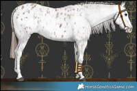 Horse Color:Brown Dun Sabino Splash Blanket  and Brown Dun Sabino Splash Blanket 