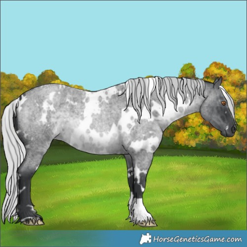 Horse Color:Platinum White Spotted Silver Blue Chinchilla Roan 