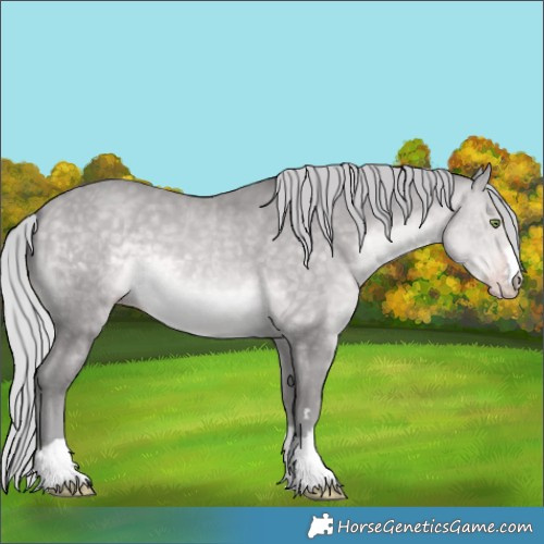 Horse Color:Platinum Silver Sable Cream Champagne 