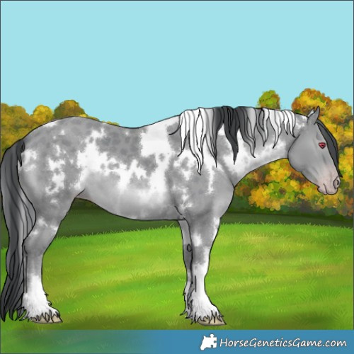 Horse Color:Platinum White Spotted Classic Champagne Chinchilla 