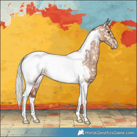 Horse Color:Silver Bay Dun Tobiano Snowcap 