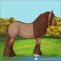 Horse Color:Red Dun 