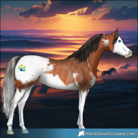 Horse Color:Bay Sabino Splash Snowcap Rabicano