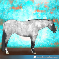 Horse Color:White Spotted Blue Roan