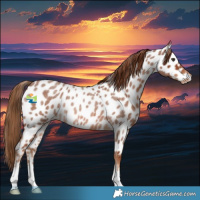 Horse Color:Red Roan Near Leopard Rabicano