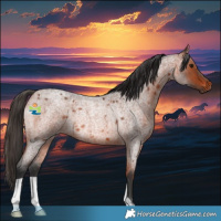 Horse Color:Bay Roan Rabicano 