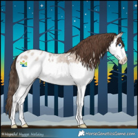 Horse Color:Classic Champagne Roan Splash Appaloosa 