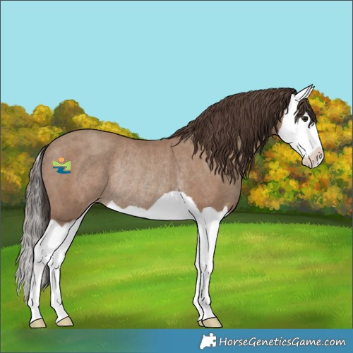 Horse Color:Classic Champagne Splash Rabicano