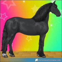 Horse Color:Black 