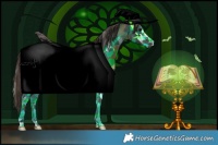 Horse Color:White Spotted Smoky Black Rabicano and Buckskin