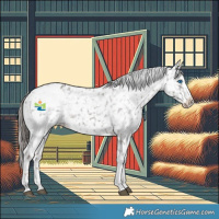 Horse Color:Liver Chestnut Sabino Splash Appaloosa  and Liver Red Roan Sabino Splash Appaloosa 