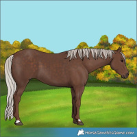 Horse Color:Silver Black 