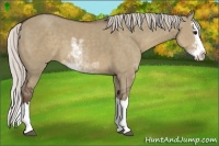 Horse Color:Silver Grullo Sabino Splash
