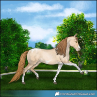 Horse Color:Red Dun Roan Pearl Tobiano Frame 