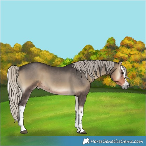 Horse Color:White Spotted Silver Smoky Blue Onyx 