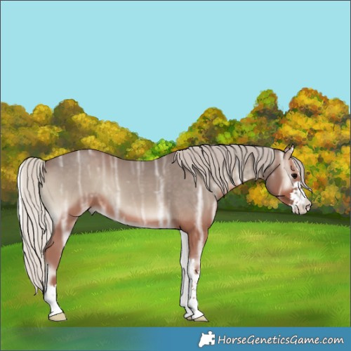 Horse Color:Silver Blue Onyx Ice Sabino 