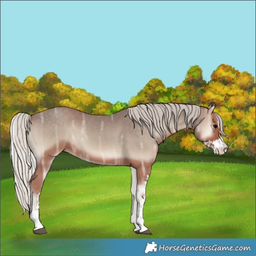 Horse Color:Silver Blue Onyx Ice Sabino 