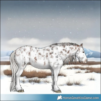 Horse Color:Bay Sabino Splash Near Leopard and Silver Bay Sabino Splash Near Leopard