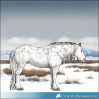 Horse Color:Bay Sabino Splash Appaloosa  and Silver Bay Sabino Splash Appaloosa 