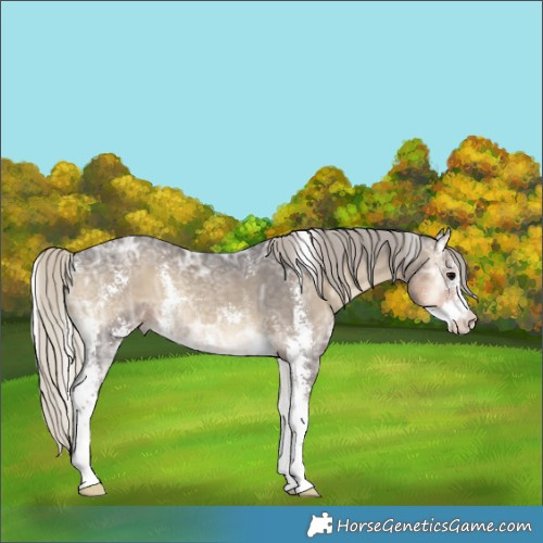 Horse Color:Silver Smoky Blue Onyx Ice Sabino 