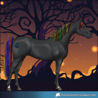 Horse Color:Painted Black