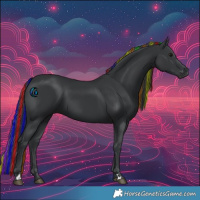 Horse Color:Painted Black 
