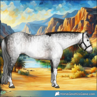 Horse Color:Gray White Spotted Brown Tobiano and Gray Brown Tobiano