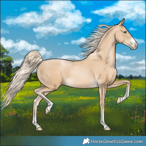 Horse Color:Palomino Pearl