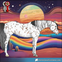 Horse Color:Brown Tobiano Near Leopard 
