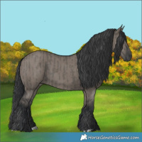 Horse Color:Grullo  and Grullo 