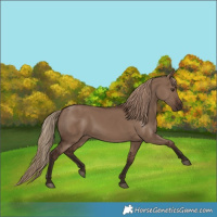 Horse Color:Liver Red Dun 