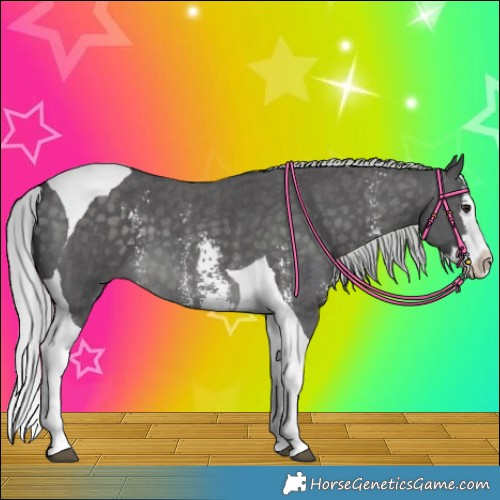 Horse Color:Platinum Silver Buckskin Sabino Splash Tobiano 