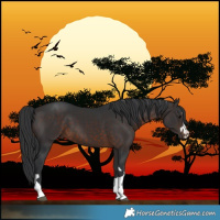 Horse Color:Brown 