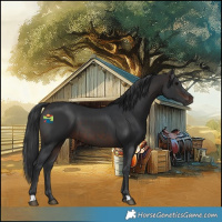 Horse Color:Brown 