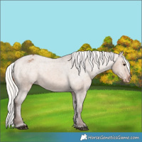 Horse Color:Silver Brown Dun Varnish 