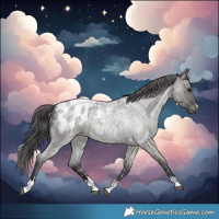 Horse Color:Grullo Roan Appaloosa Rabicano