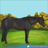 Horse Color:Brown 