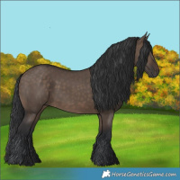 Horse Color:Brown Dun