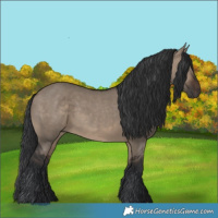 Horse Color:Brown Dun 
