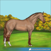 Horse Color:Red Dun 