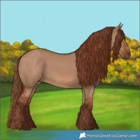 Horse Color:Red Dun 